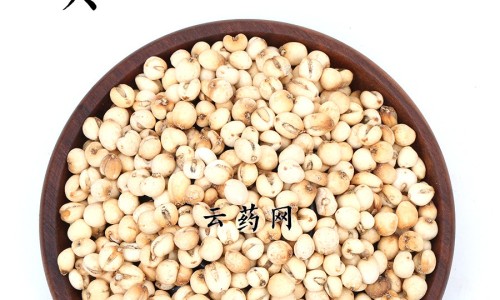 【用永久艾灸贴的功效与作用】用永久艾灸贴的功效与作用 - 用永久艾灸贴的功效网